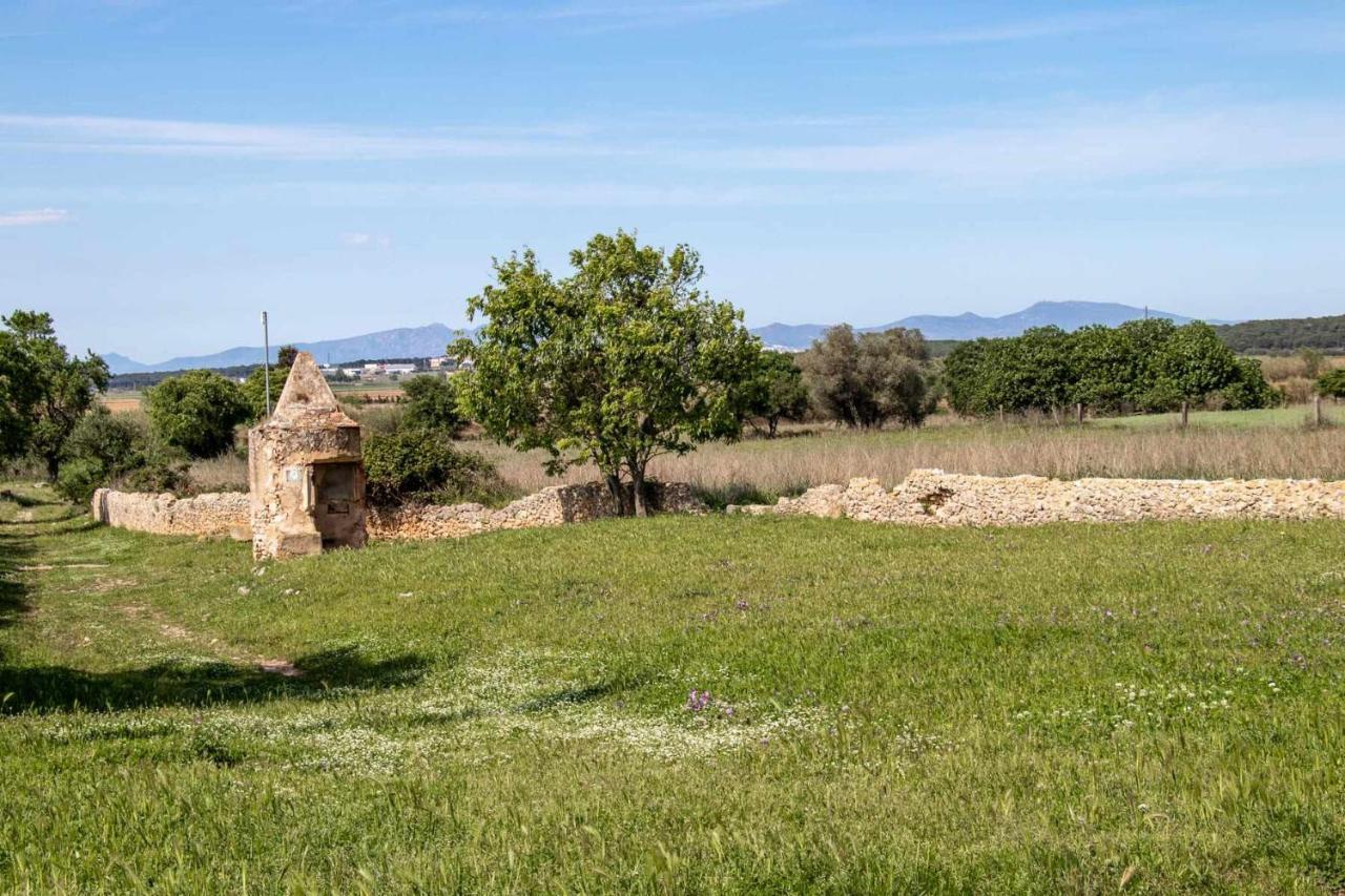 OCELLS DE MONTGRÍ apartamento rural en el Baix Empordà Sobrestany Esterno foto